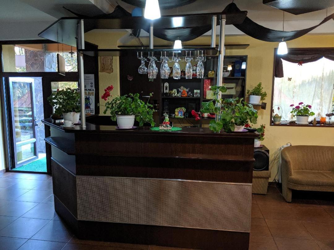 Pensiunea N.A.M Szászbuda Kültér fotó