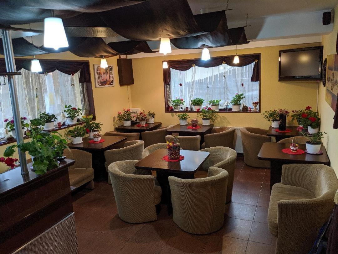 Pensiunea N.A.M Szászbuda Kültér fotó